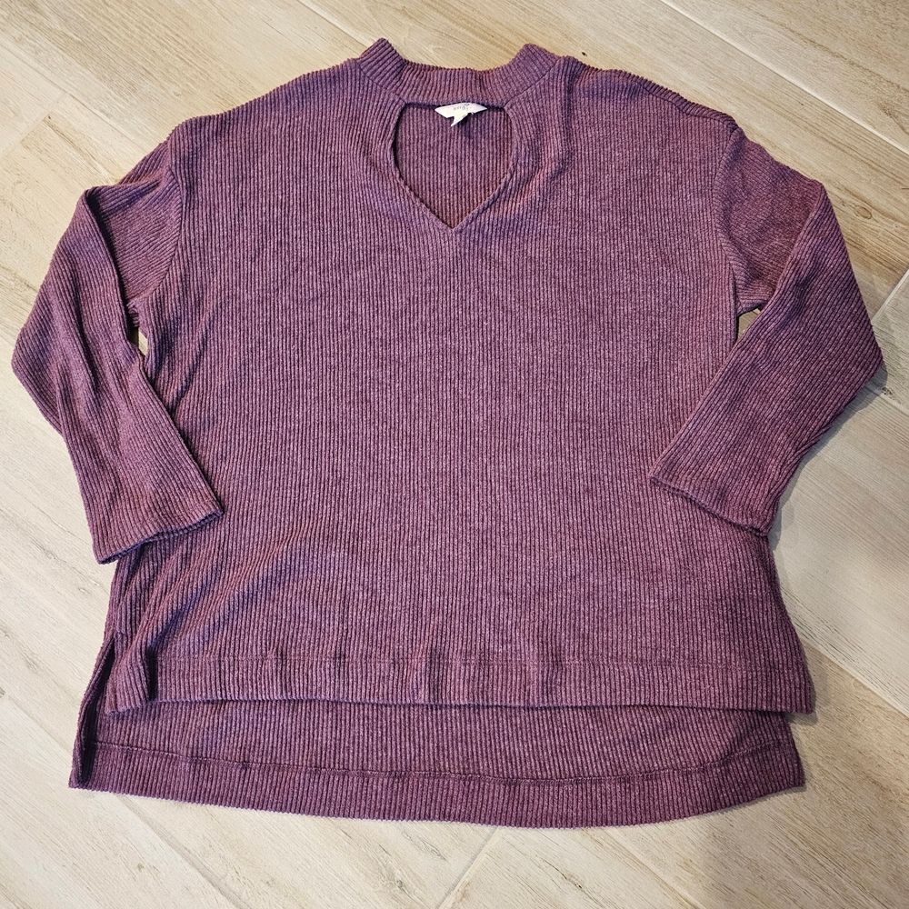 Terra & Sky Women's Purple V-Neck Sweater Size 1X EUC